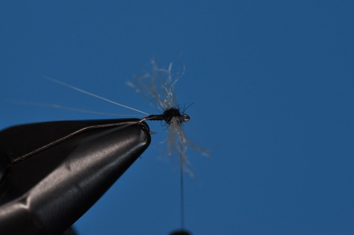 Trico Spinner Step-by-Step