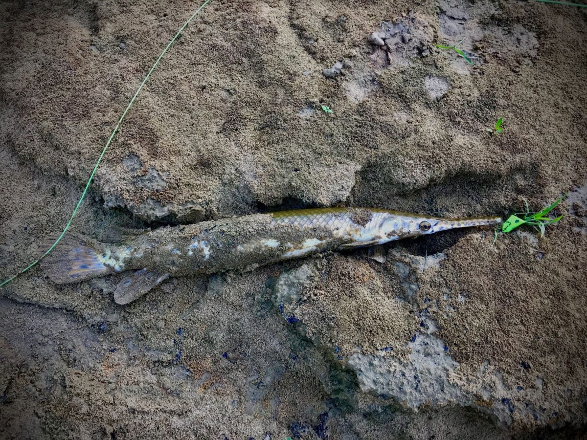 Gar on the Fly