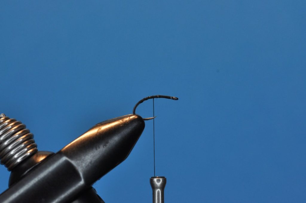 Beetle Fly Step-by-Step