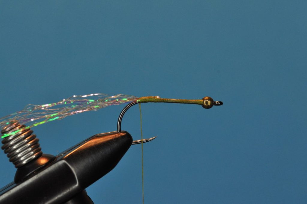Woolly Bugger Fly Step-by-Step