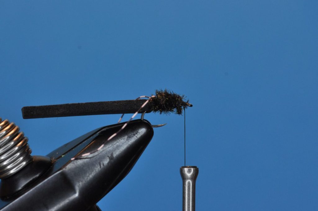 Beetle Fly Step-by-Step