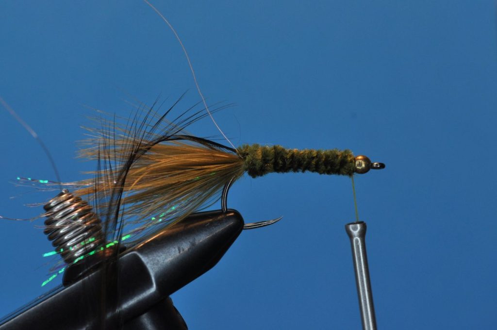 Woolly Bugger Fly Step-by-Step