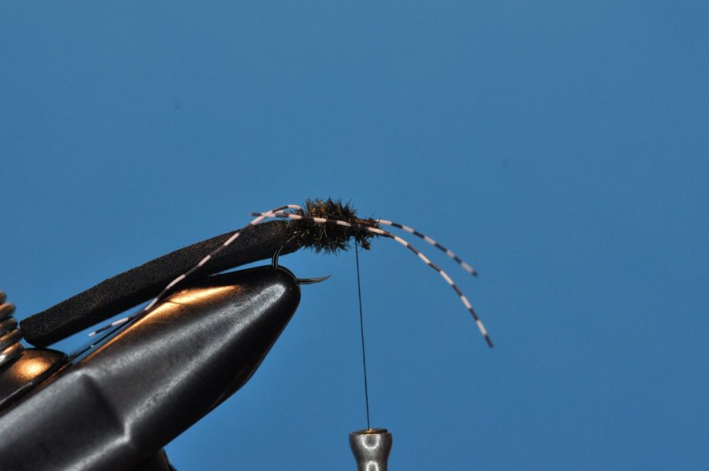 Beetle Fly Step-by-Step
