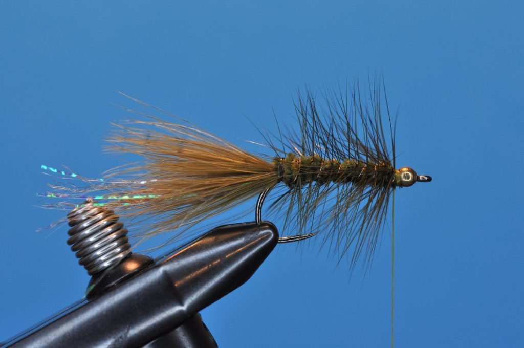 Woolly Bugger Fly Step-by-Step