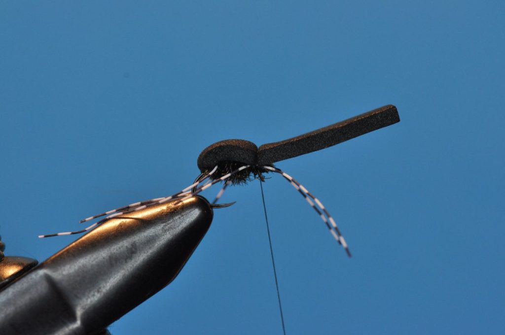 Beetle Fly Step-by-Step