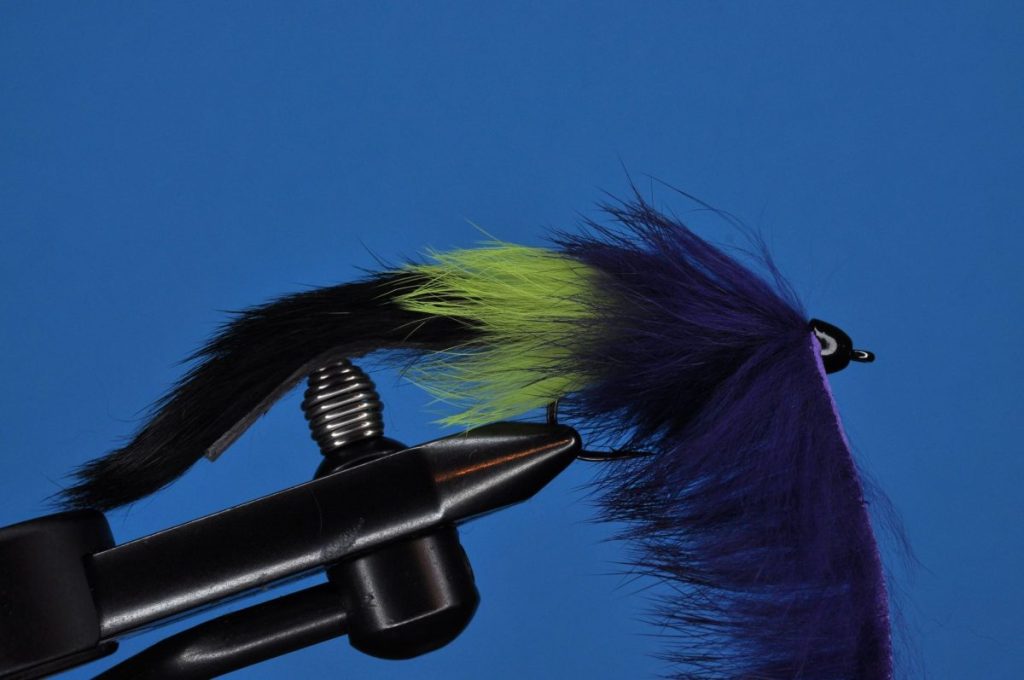 The Bunny Leech Step-by-Step