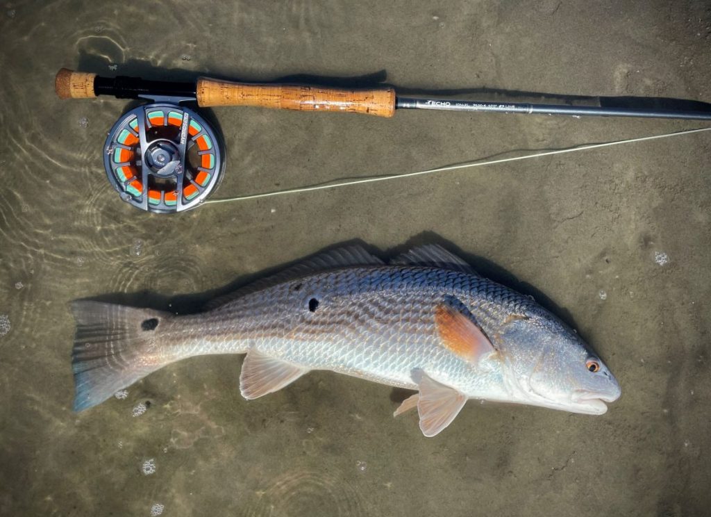 Grand Isle, LA: 01/13/2021