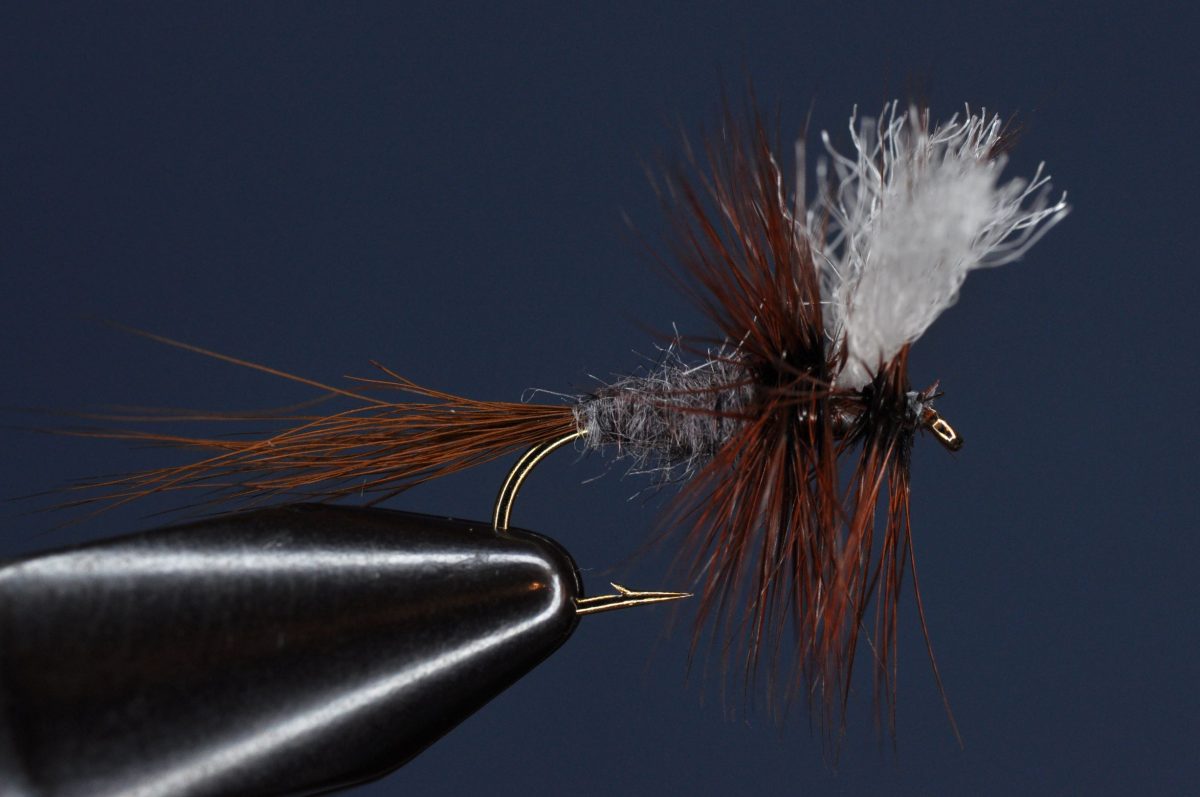 Gray Wulff Variant Step-by-Step