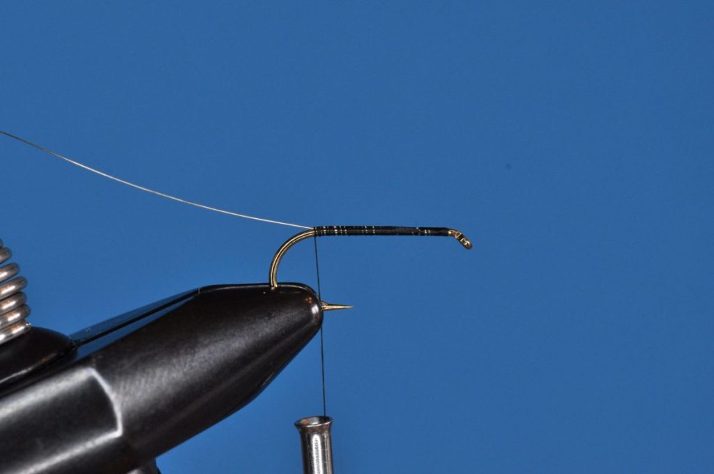 Baby Leech Fly Step-by-Step