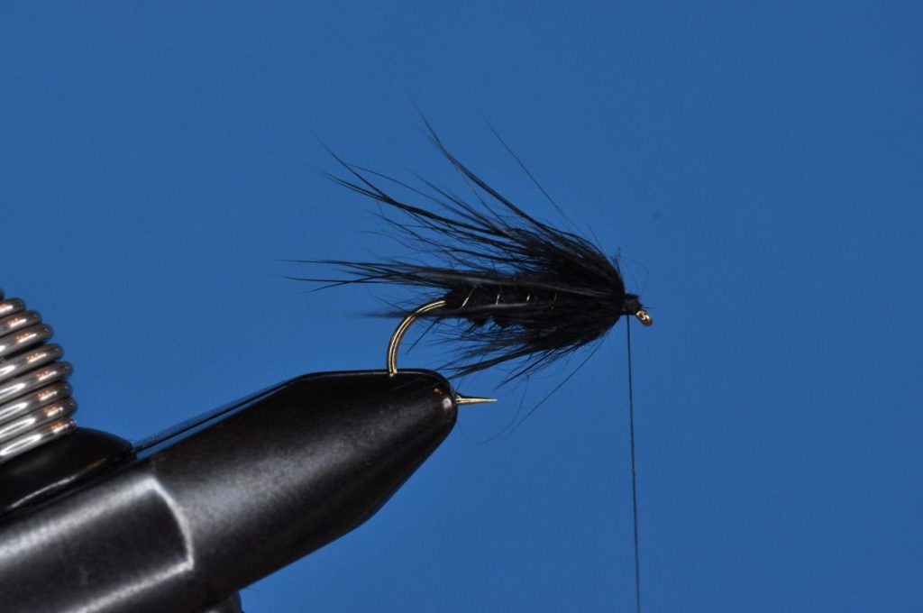 Baby Leech Fly Step-by-Step