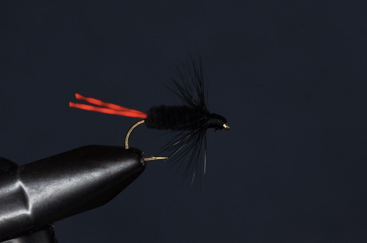 Bluegill Killer Fly Step-by-Step