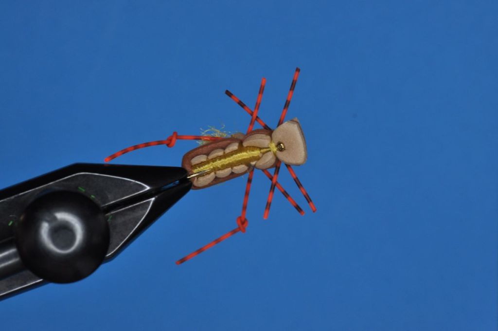 Fat Albert Fly Step-by-Step