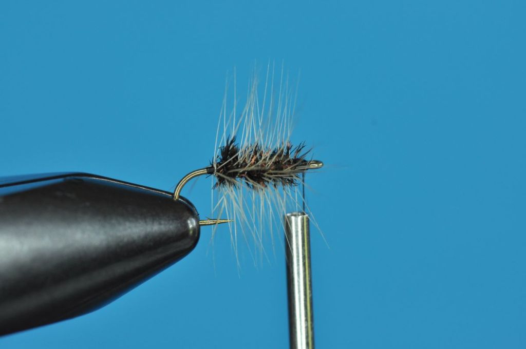 Griffith's Gnat Fly Step-by-Step