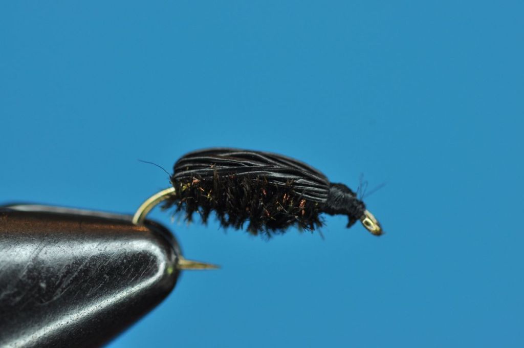 Deer Hair Beetle Step-by-Step