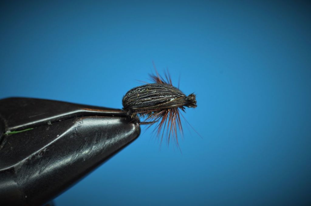 Sunken Beetle Fly Step-by-Step