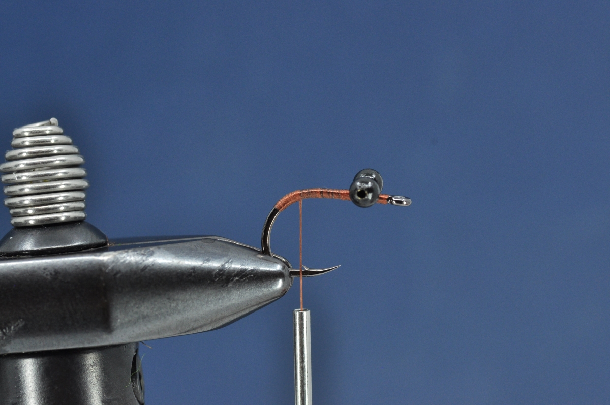 Brasshawk Carp Fly Step by Step