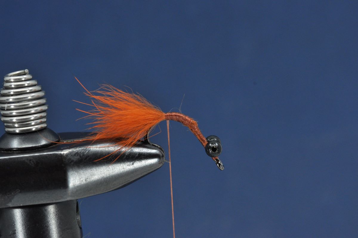 Brasshawk Carp Fly Step by Step