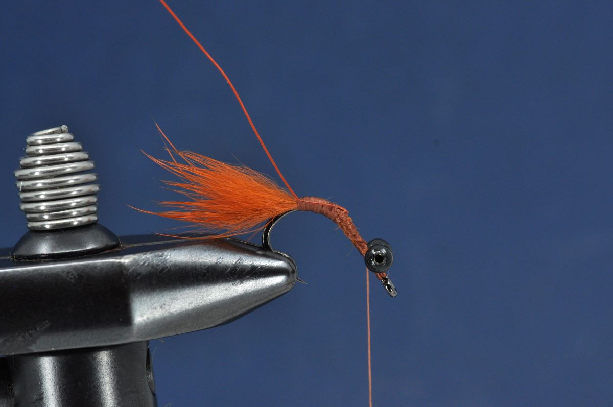 Brasshawk Carp Fly Step by Step