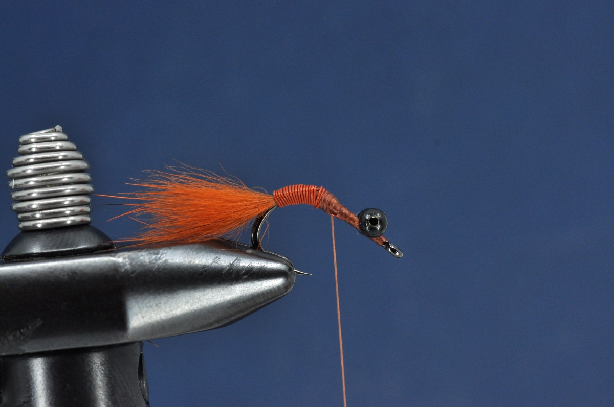 Brasshawk Carp Fly Step by Step