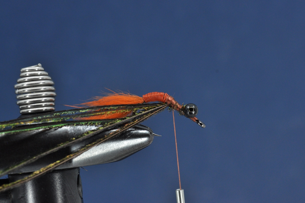 Brasshawk Carp Fly Step by Step