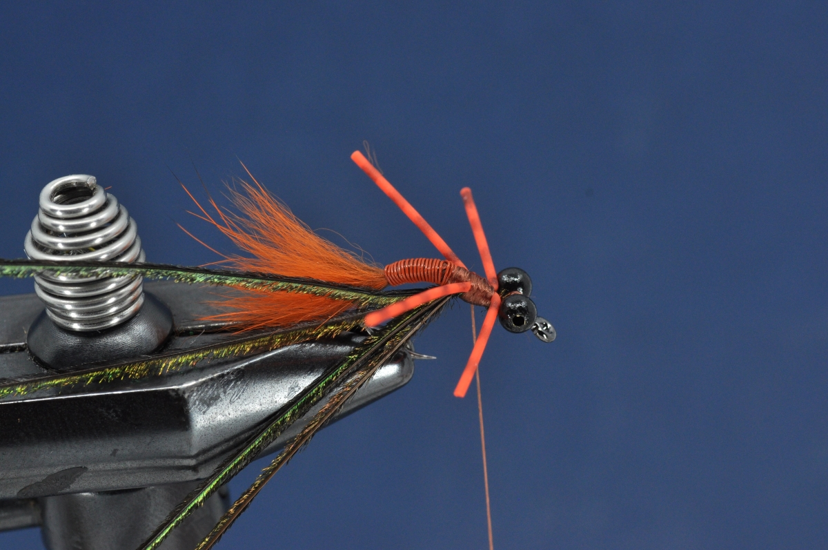 Brasshawk Carp Fly Step by Step