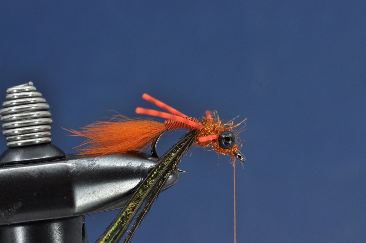 Brasshawk Carp Fly Step by Step