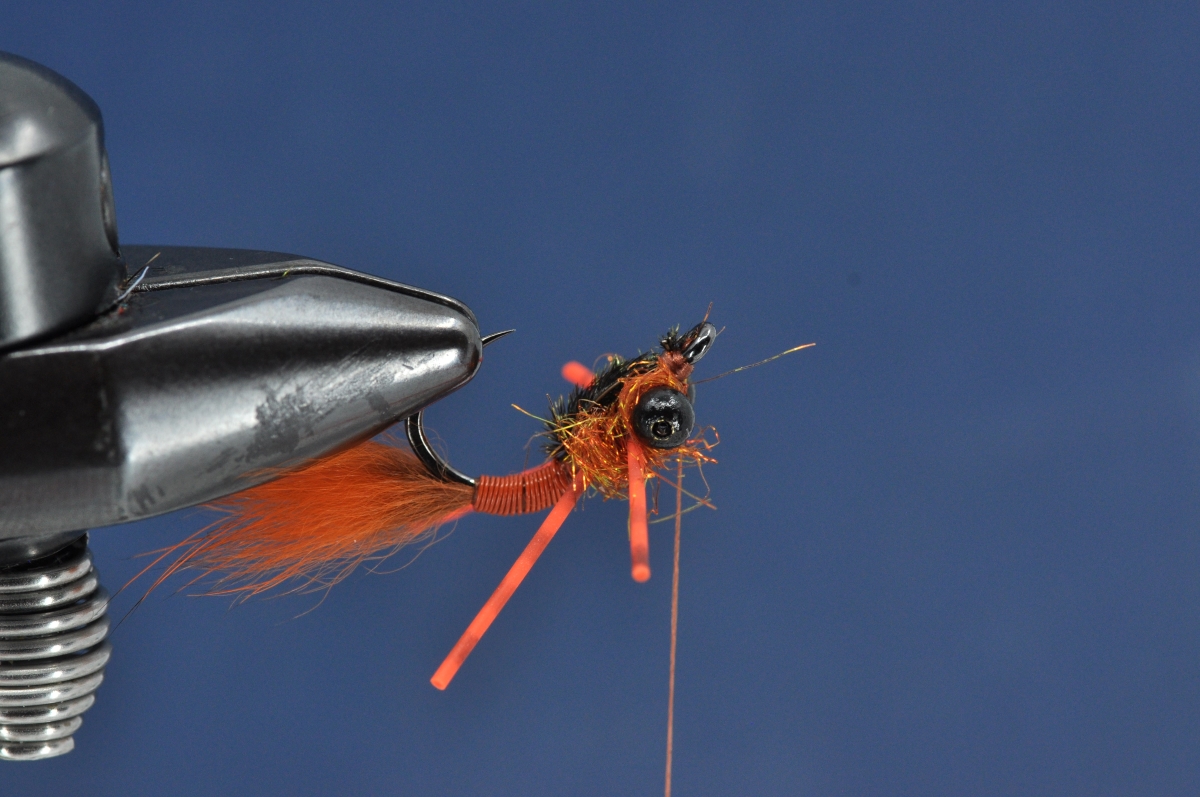Brasshawk Carp Fly Step by Step