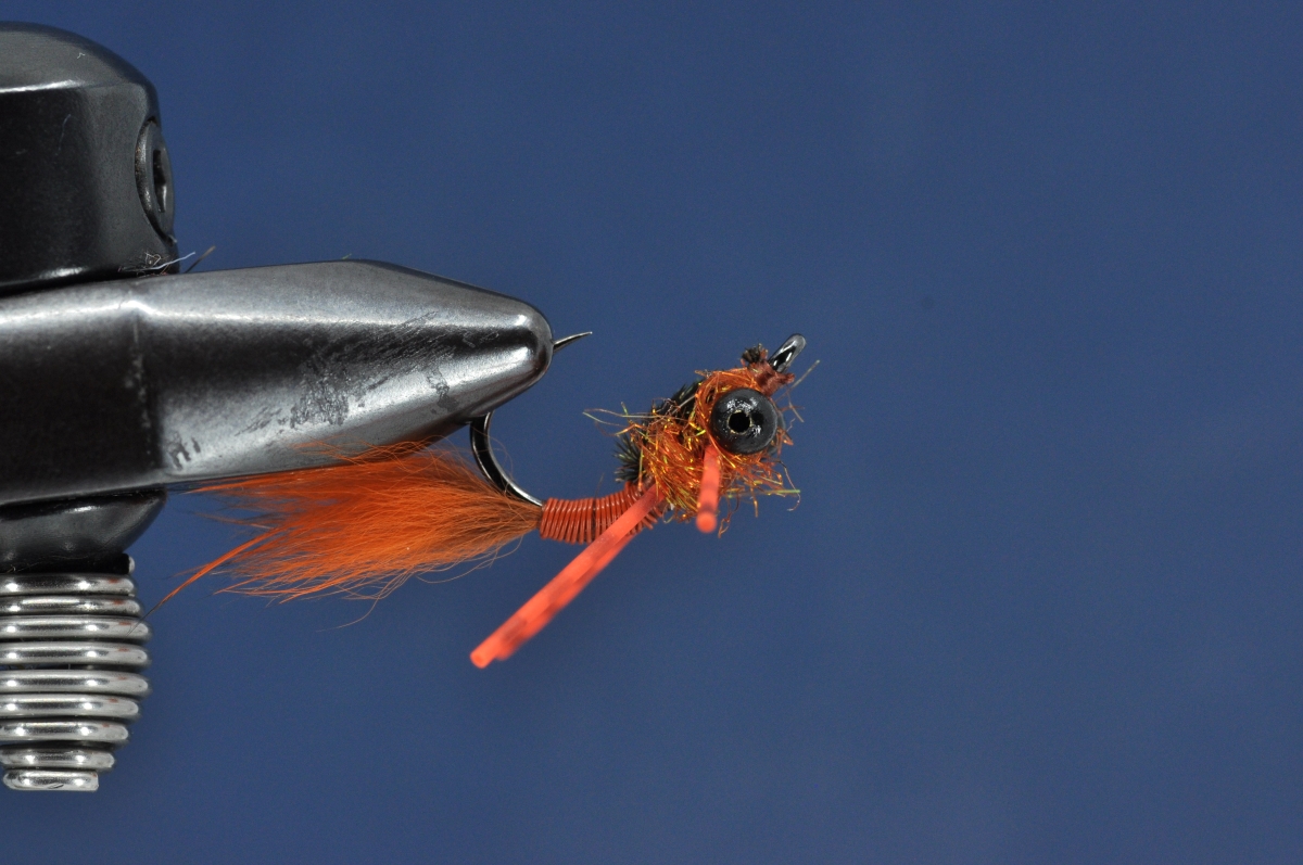 Brasshawk Carp Fly Step by Step