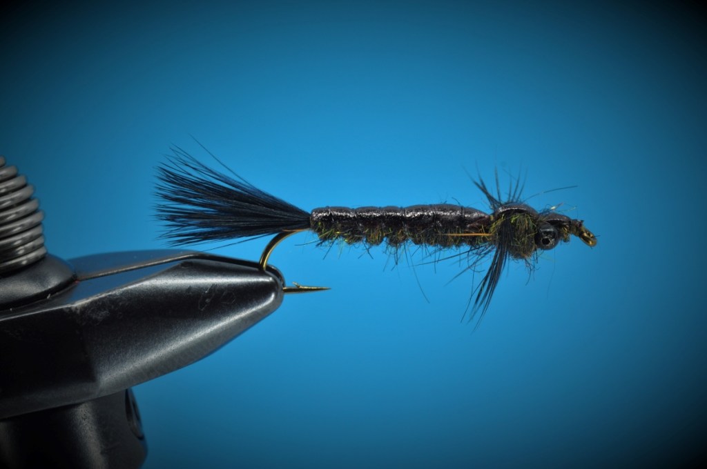 Barr's Dragonfly Nymph Step-by-Step