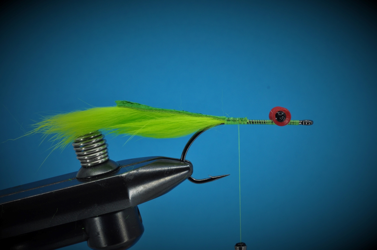 Bass Bully Fly Step-by-Step