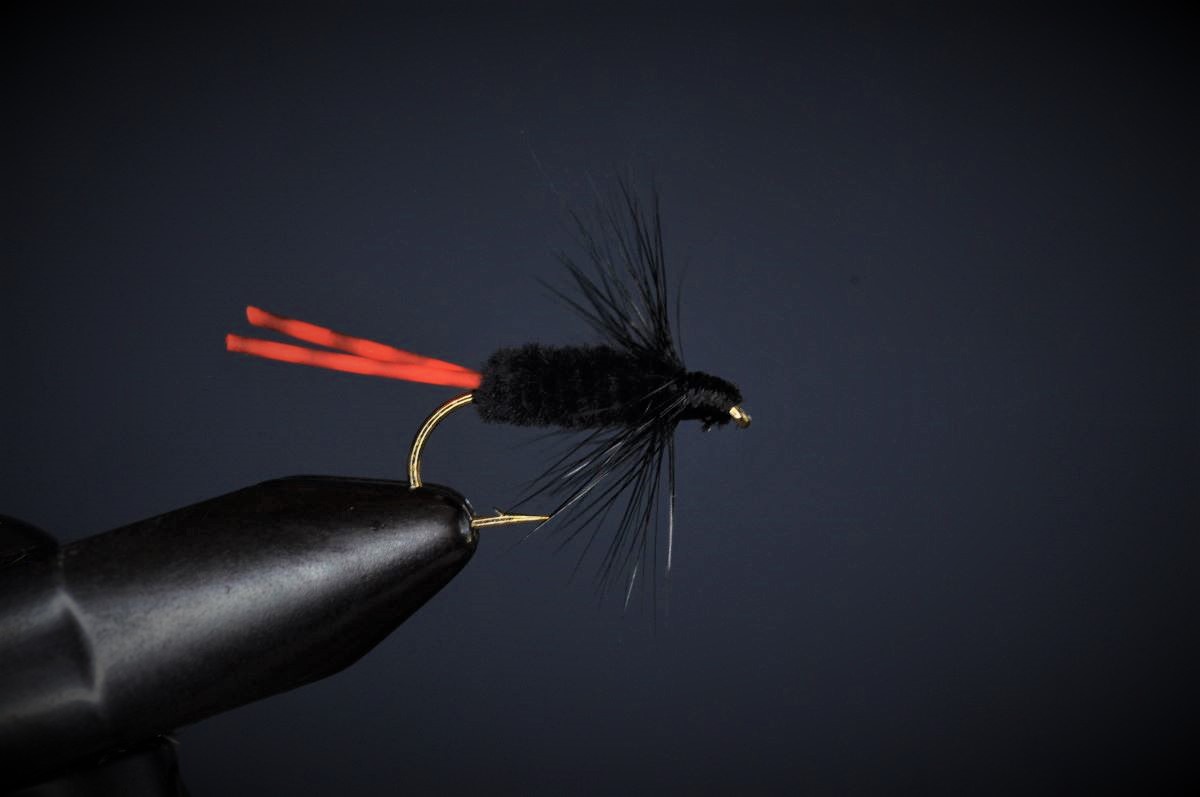 Bluegill Killer Fly Step-by-Step