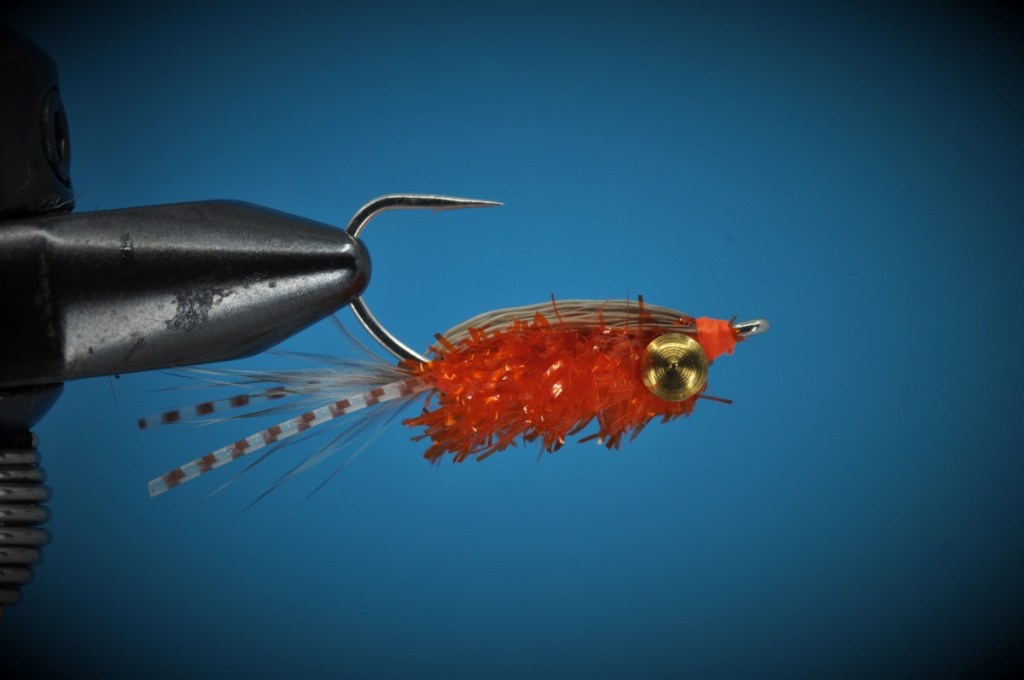Corbina Crack Fly Step-by-Step