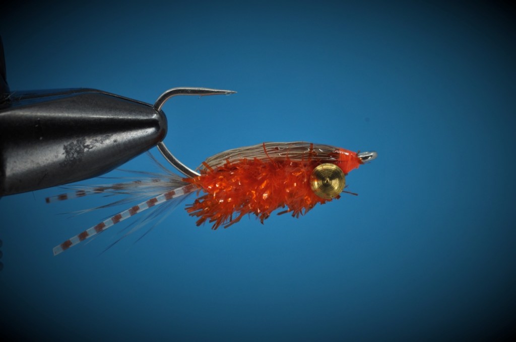 Corbina Crack Fly Step-by-Step