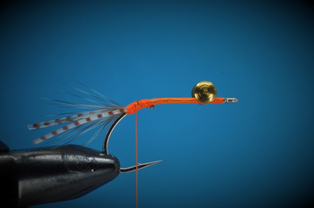 Corbina Crack Fly Step-by-Step