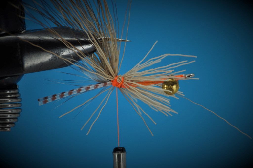 Corbina Crack Fly Step-by-Step