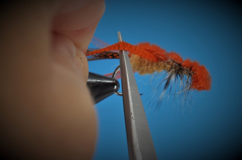 Clouser's Crayfish Fly Step-by-Step