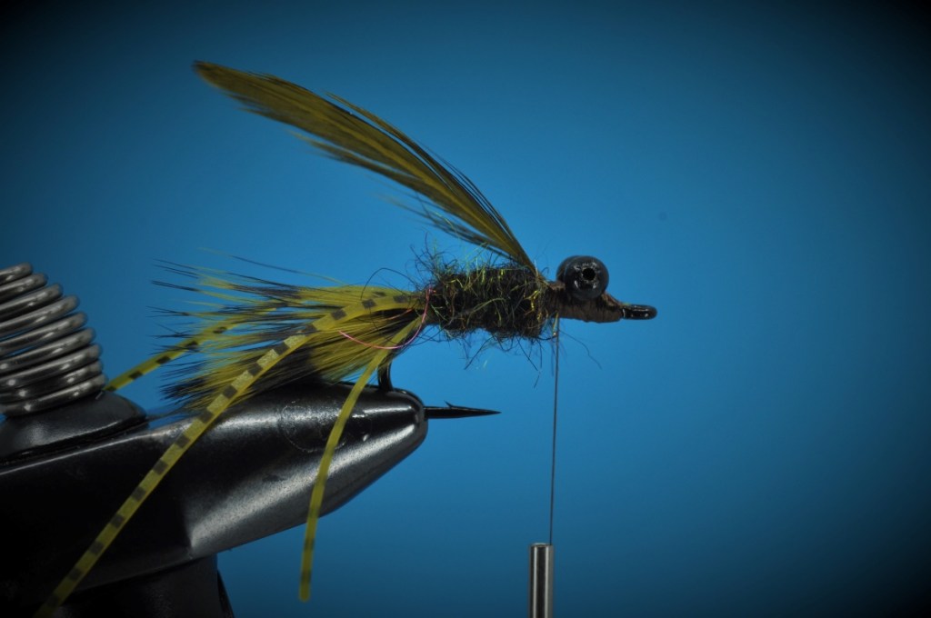 Carp Bitter Fly Step-by-Step