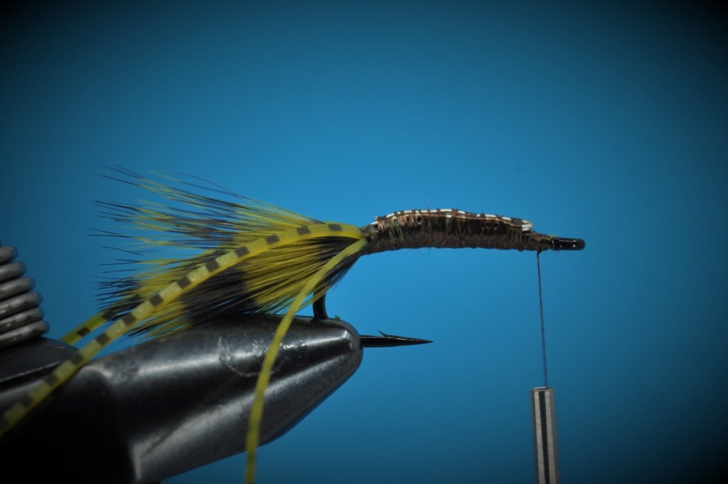 Carp Bitter Fly Step-by-Step