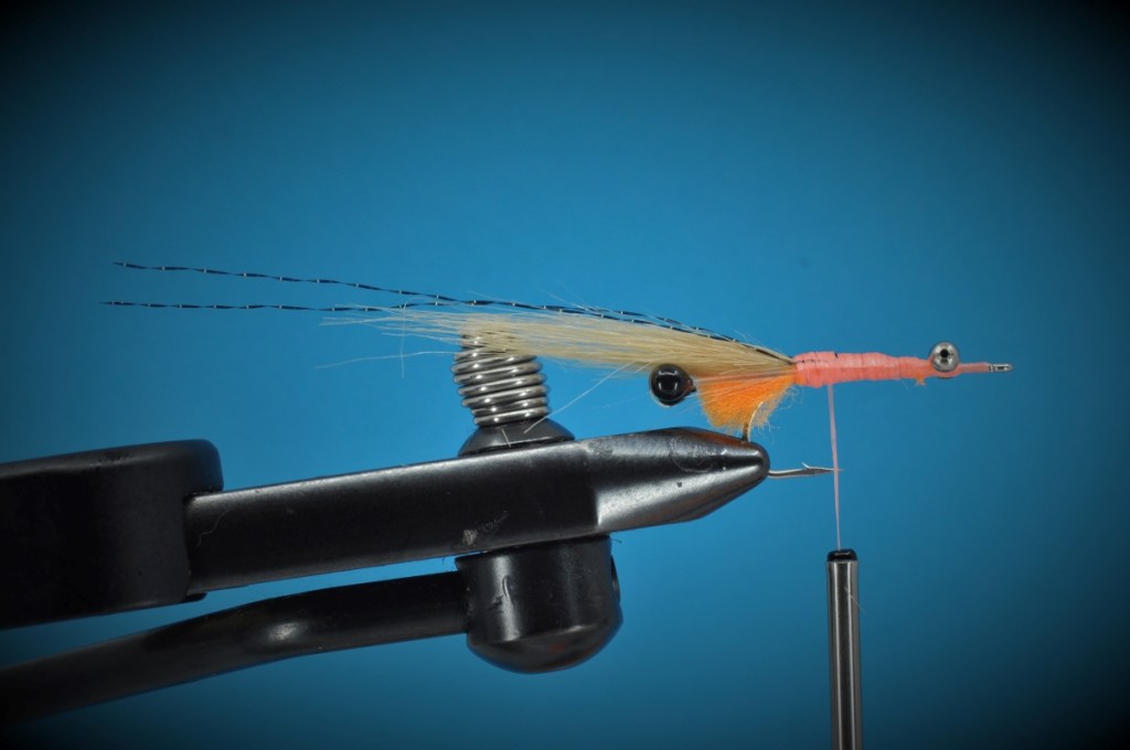Peterson's Spawning Shrimp Step-by-Step
