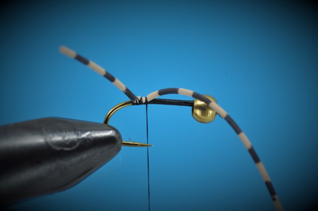 Tying the Jitterbee Step-by-Step