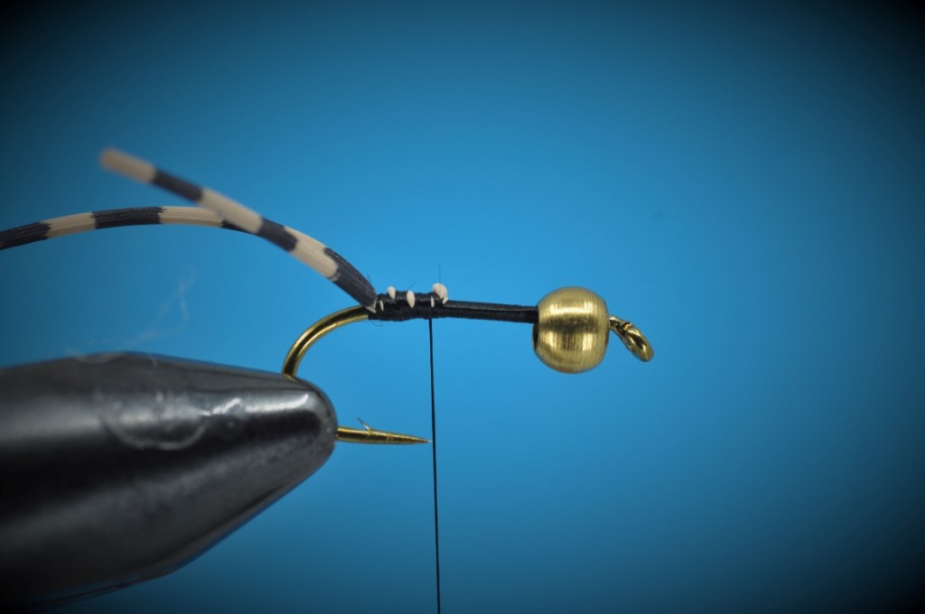 Tying the Jitterbee Step-by-Step