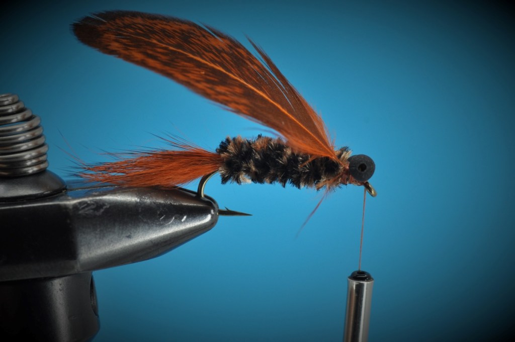 Modified Carp Bug Step-by-Step
