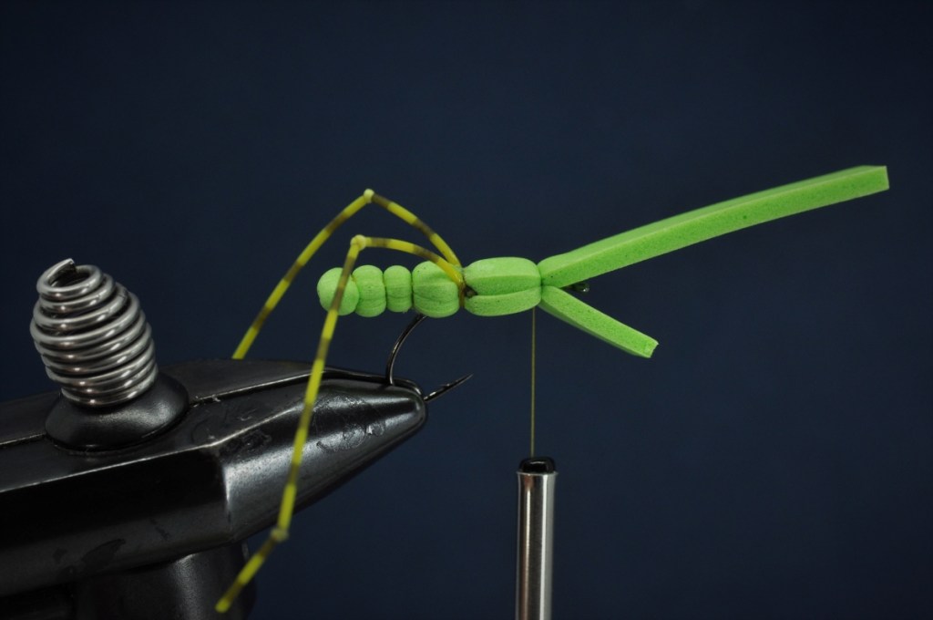 Extended Body Grasshopper Step-by-Step