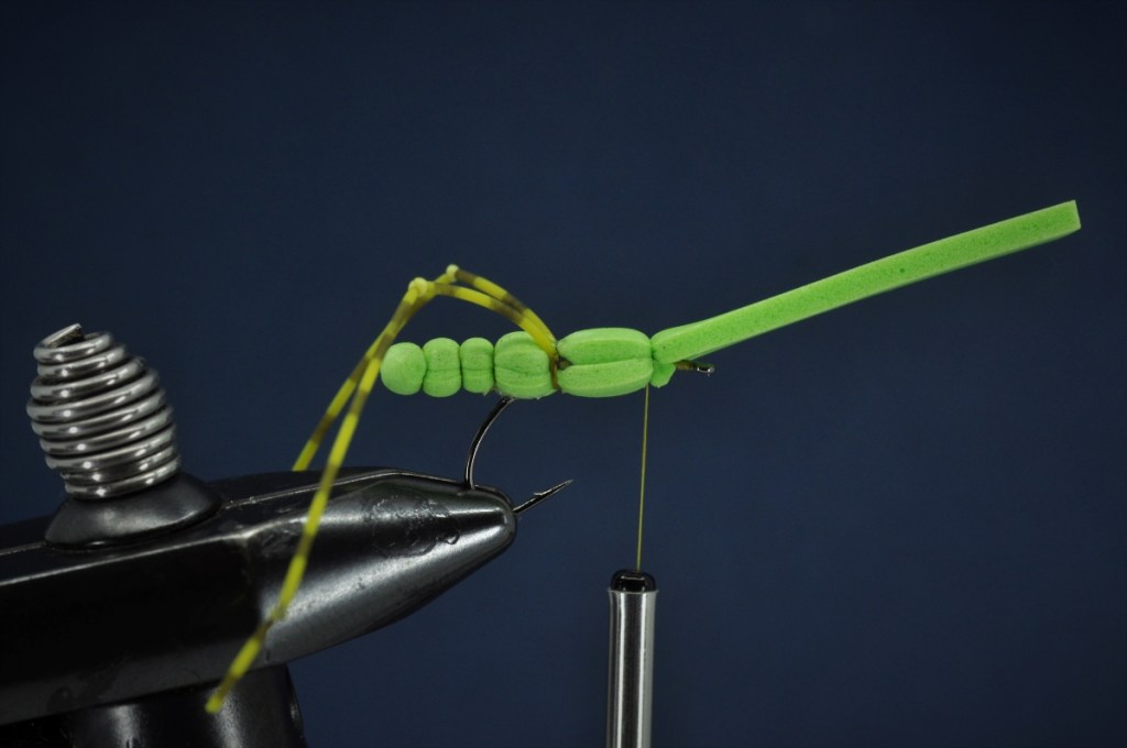 Extended Body Grasshopper Step-by-Step