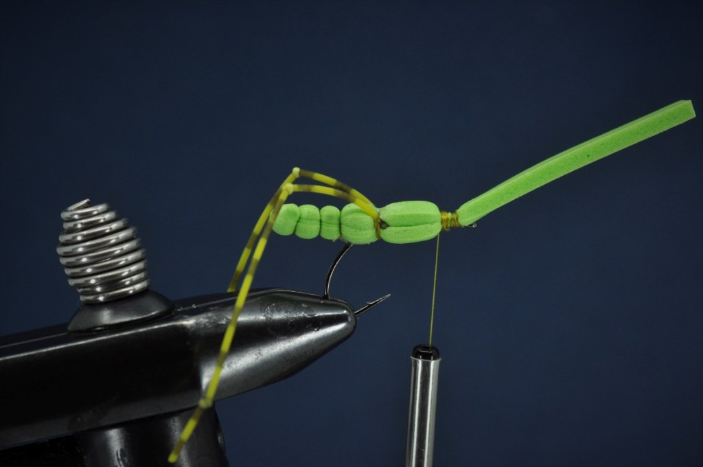 Extended Body Grasshopper Step-by-Step