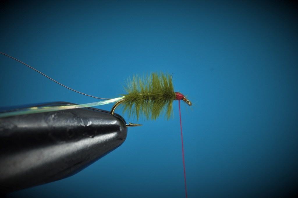 Ray Charles Nymph Step-by-Step