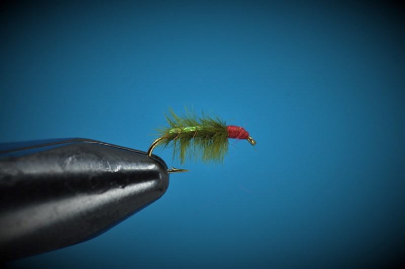 Ray Charles Nymph Step-by-Step