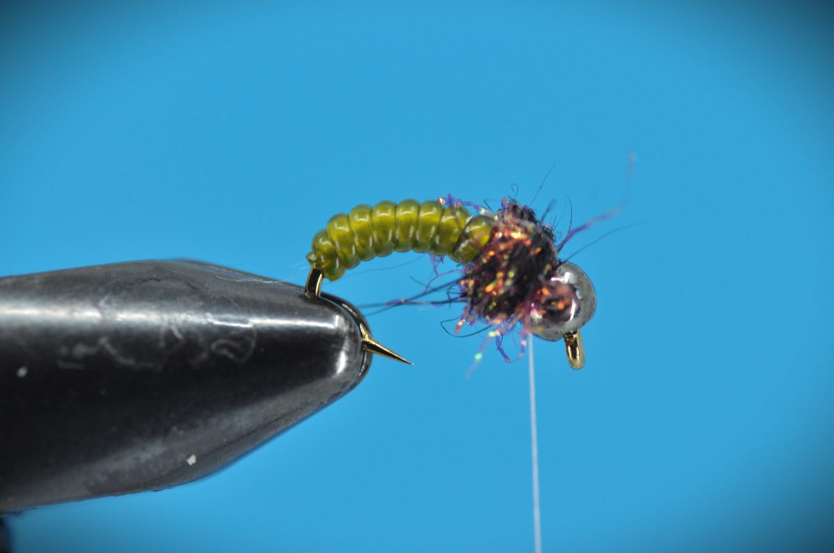 Vinyl Rib Caddis Step-by-Step