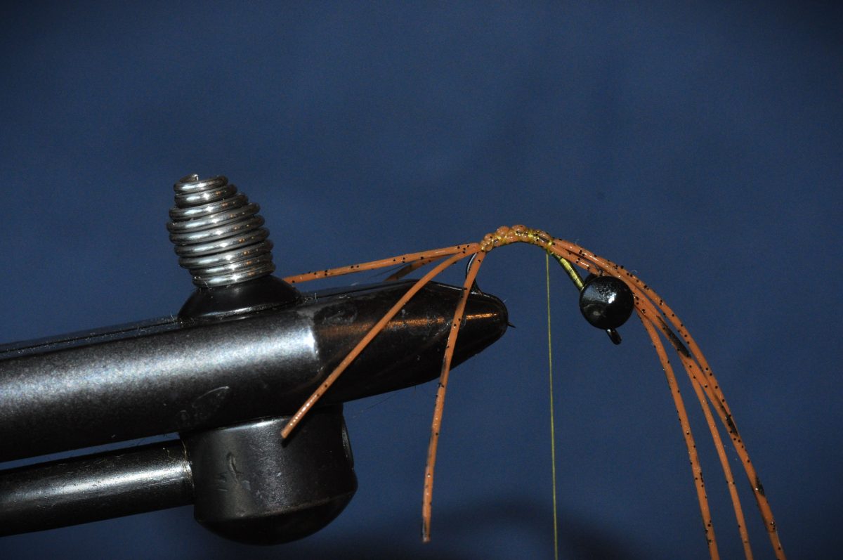 Carp Hydra Fly Step-by-Step