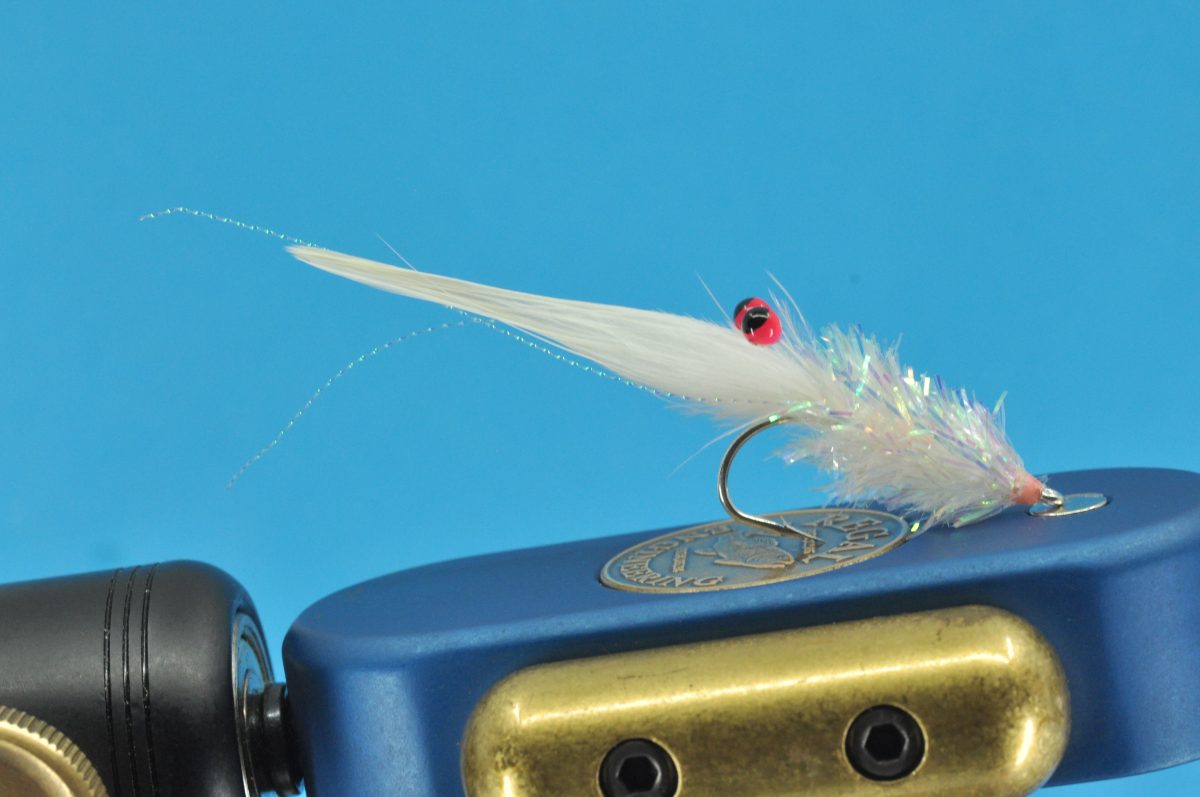 Glimmer Rejen Shrimp Step-by-Step